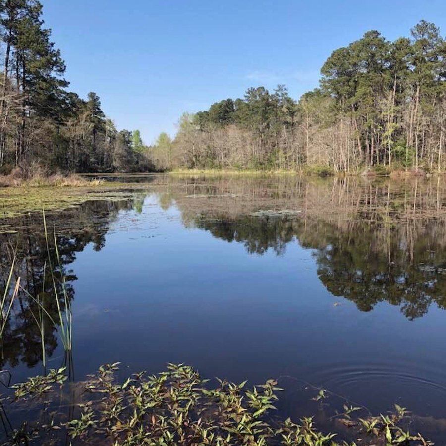 Barnwell State Park - UPDATED 2021 Reviews & Photos (SC) - Campground ...