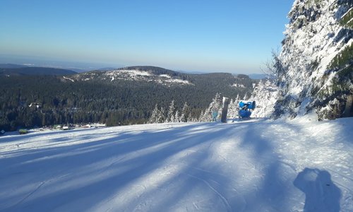 Mehliskopf Ski