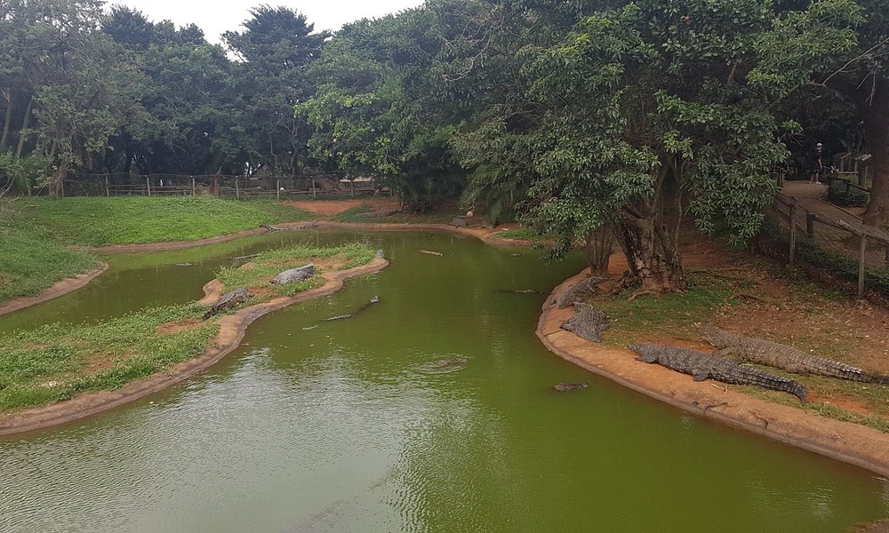 Crocworld Conservation Centre