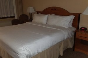 Phòng & Phòng Suite