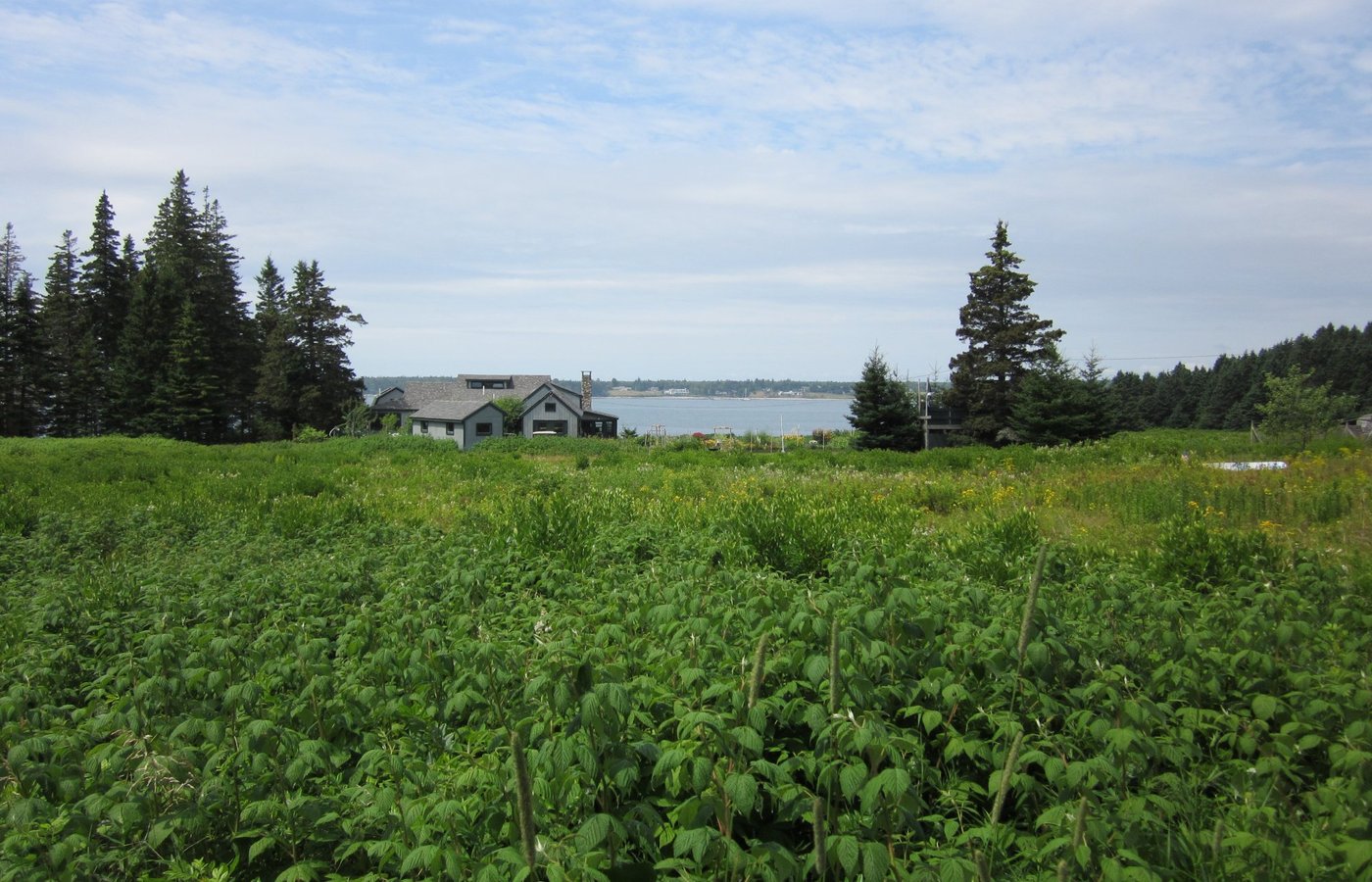 Great Cranberry Island 2023: Best Places to Visit - Tripadvisor