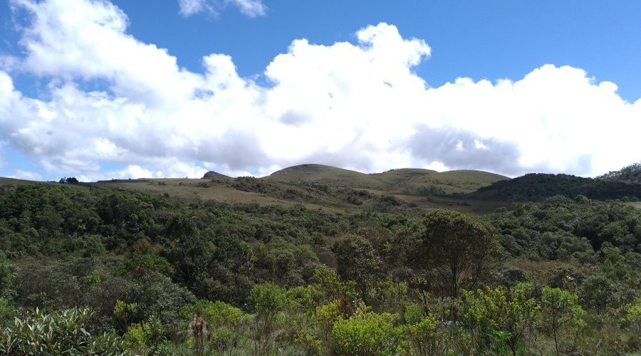 Trevo da Chapada