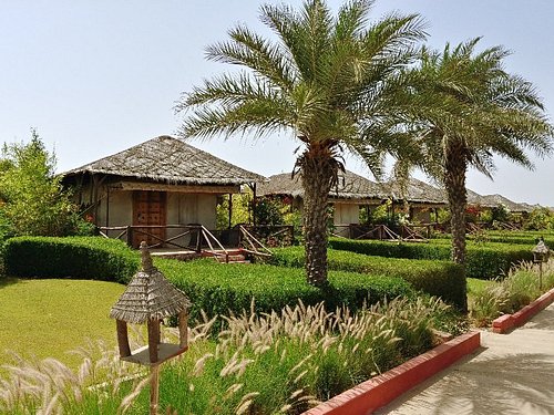 Serena Beach Resort Mandvi Gujarat Hotel Reviews Photos Rate Comparison Tripadvisor