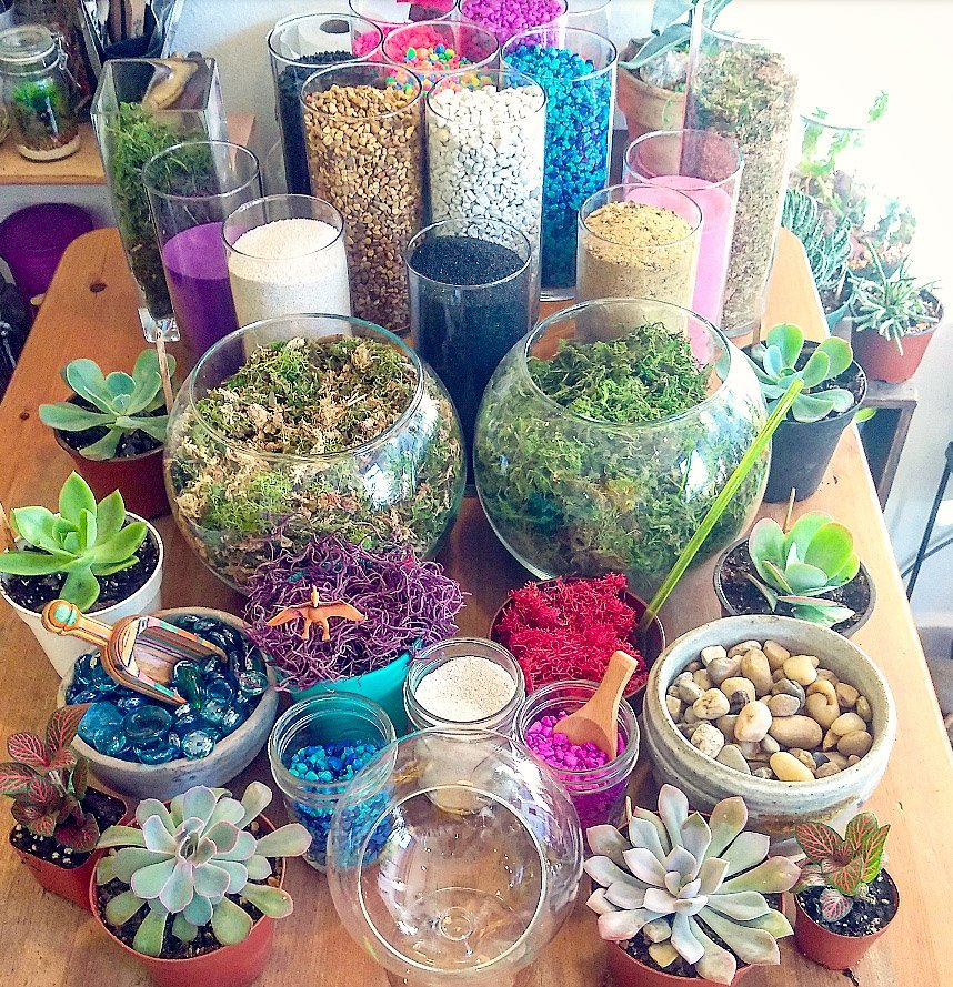 EPHEMERA TERRARIUMS (Fort Worth) Ce qu'il faut savoir