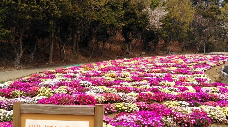 Sante Park Tahara (2025) - All You Need to Know BEFORE You Go (with Reviews)
