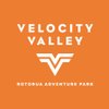 Velocity V