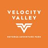 Velocity V