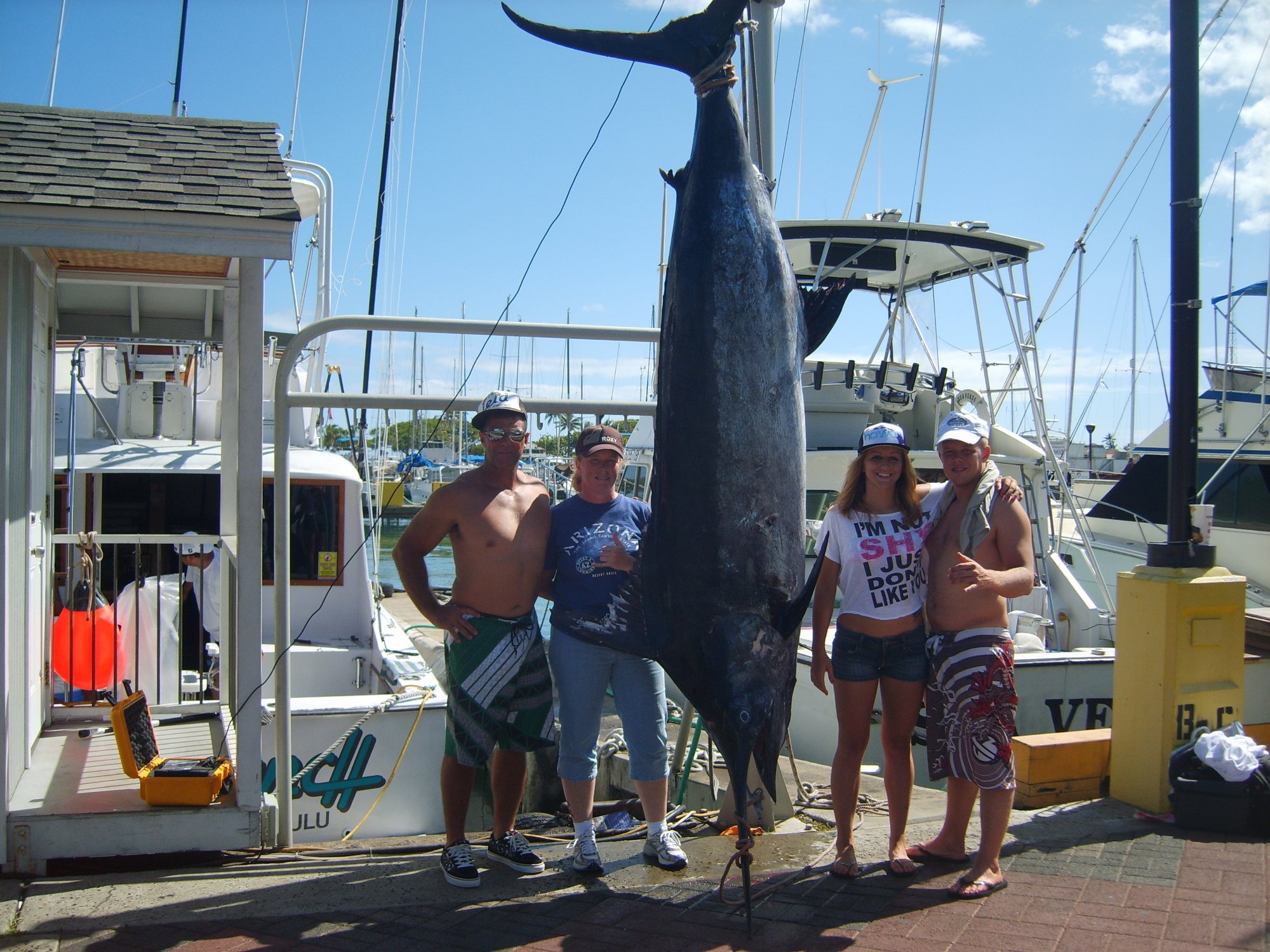 Pacific Sport Fishing Honolulu 2022 Lo Que Se Debe Saber Antes De   735 Pacific Blue Marlin 