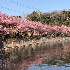 21年 三浦市で絶対外さないおすすめ観光スポットトップ10 定番から穴場まで トリップアドバイザー