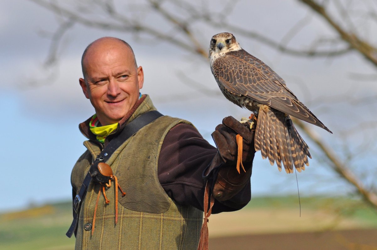 What is a bird of prey? — the SCOTTISH countryman