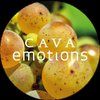 CavaEmotions