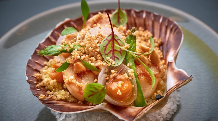 Coquilles / Hazelnoot / Pompoen / Quinoa