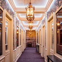 Урюк на Ленинградском проспекте