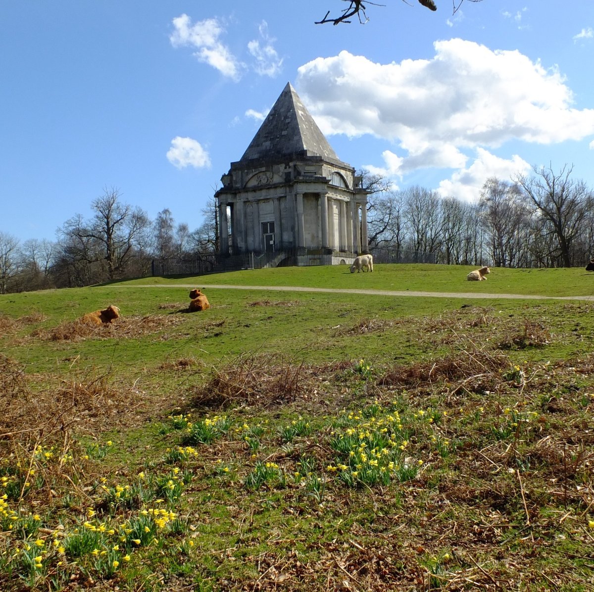 Cobham Wood And Mausoleum - All You Need to Know BEFORE You Go (2024)