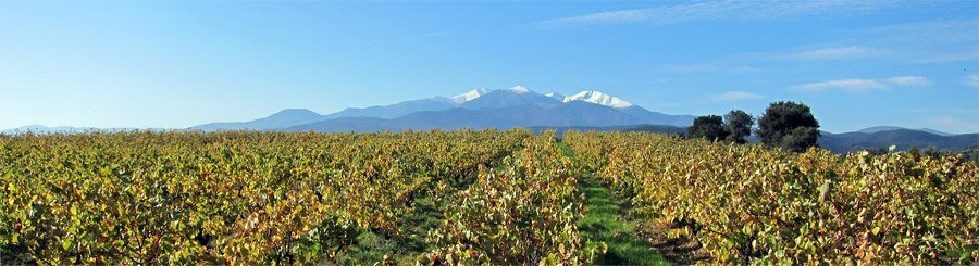 vue du domaine