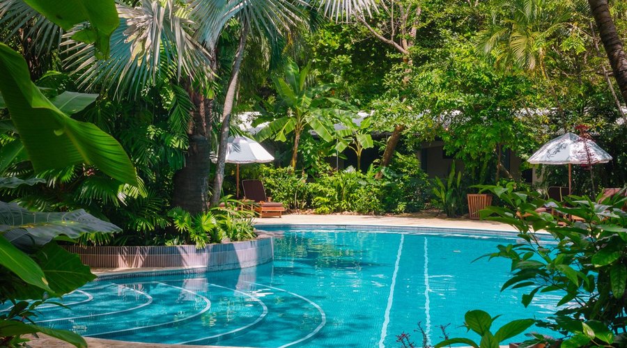 The Harmony pool