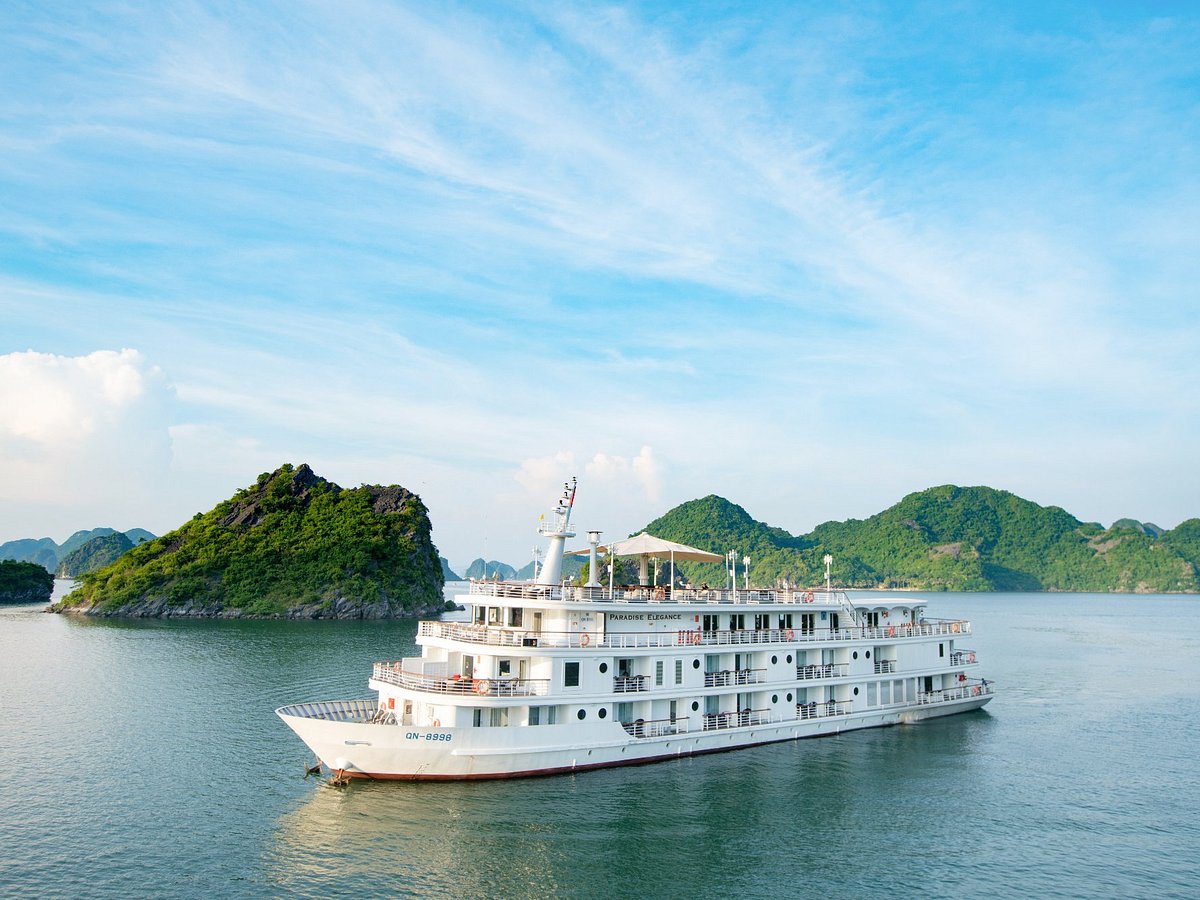 paradise cruise tripadvisor