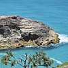 Things To Do in Straddie Adventures, Restaurants in Straddie Adventures