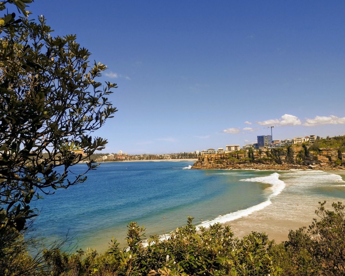 freshwater-beach-sydney-ce-qu-il-faut-savoir-pour-votre-visite