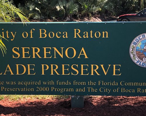 THE 15 BEST Things to Do in Boca Raton - 2023 (with Photos