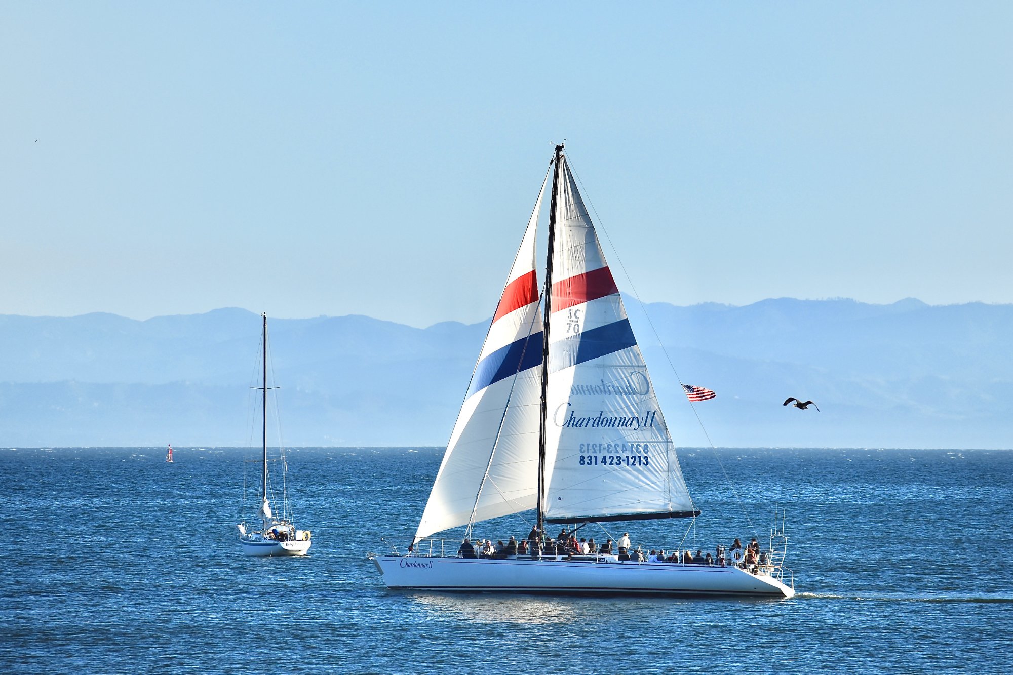 Chardonnay Sailing Charters What to Know BEFORE You Go with Photos