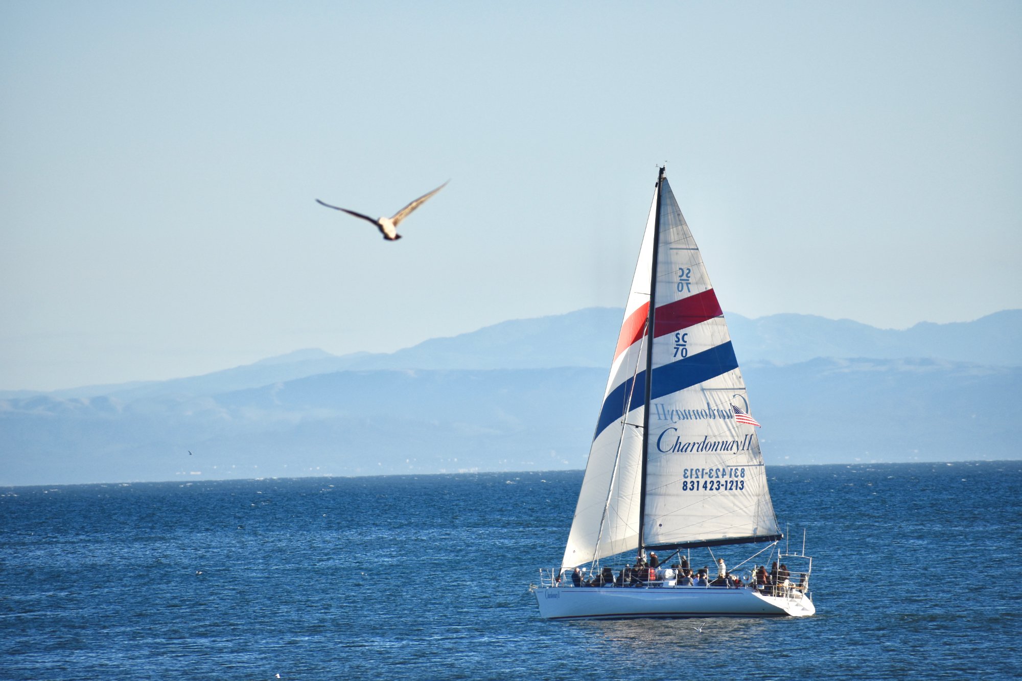 Chardonnay Sailing Charters What to Know BEFORE You Go with Photos