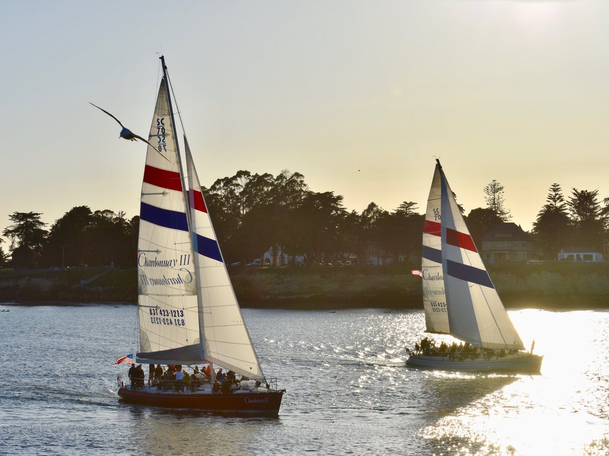 Chardonnay Sailing Charters (Santa Cruz) All You Need to Know BEFORE