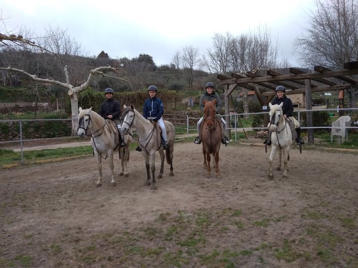 Imagen 8 de Gredos Ecuestre