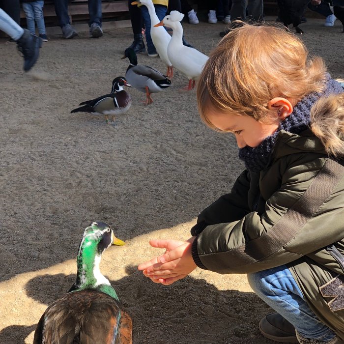 Imagen 10 de Parque Zoológico Riojanatura