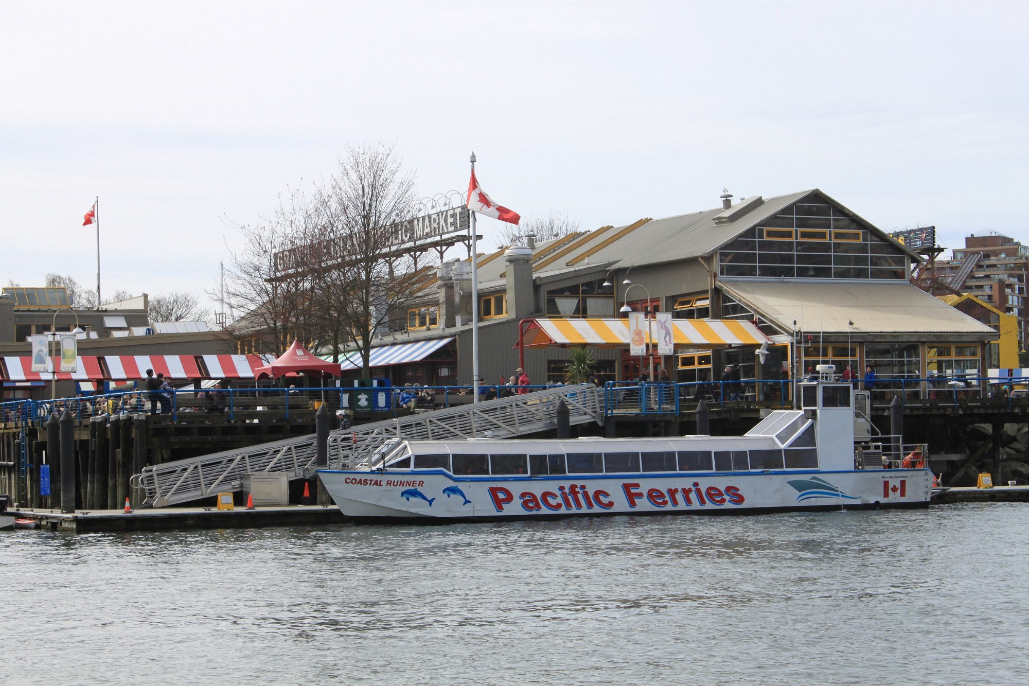 pacific ferries & tours