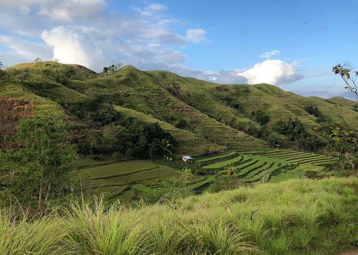 small batch of rice terraces