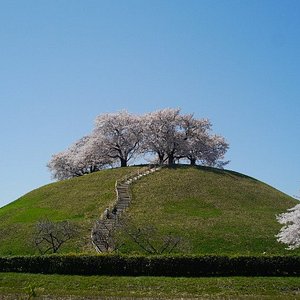 日本の古代遺跡 日本の 10 件の古代遺跡をチェックする トリップアドバイザー