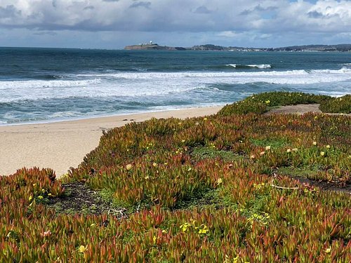 7 Amazing Things To Do In Half Moon Bay