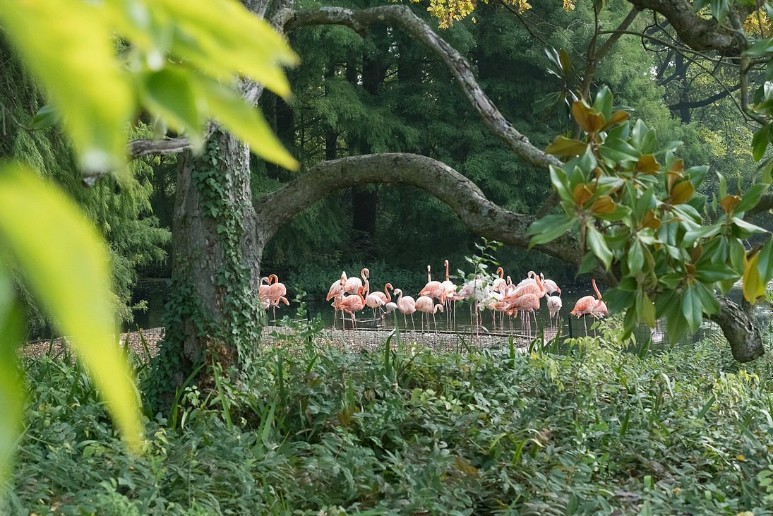  La Cicogna Imola