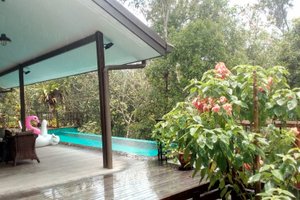 Pool & Beach