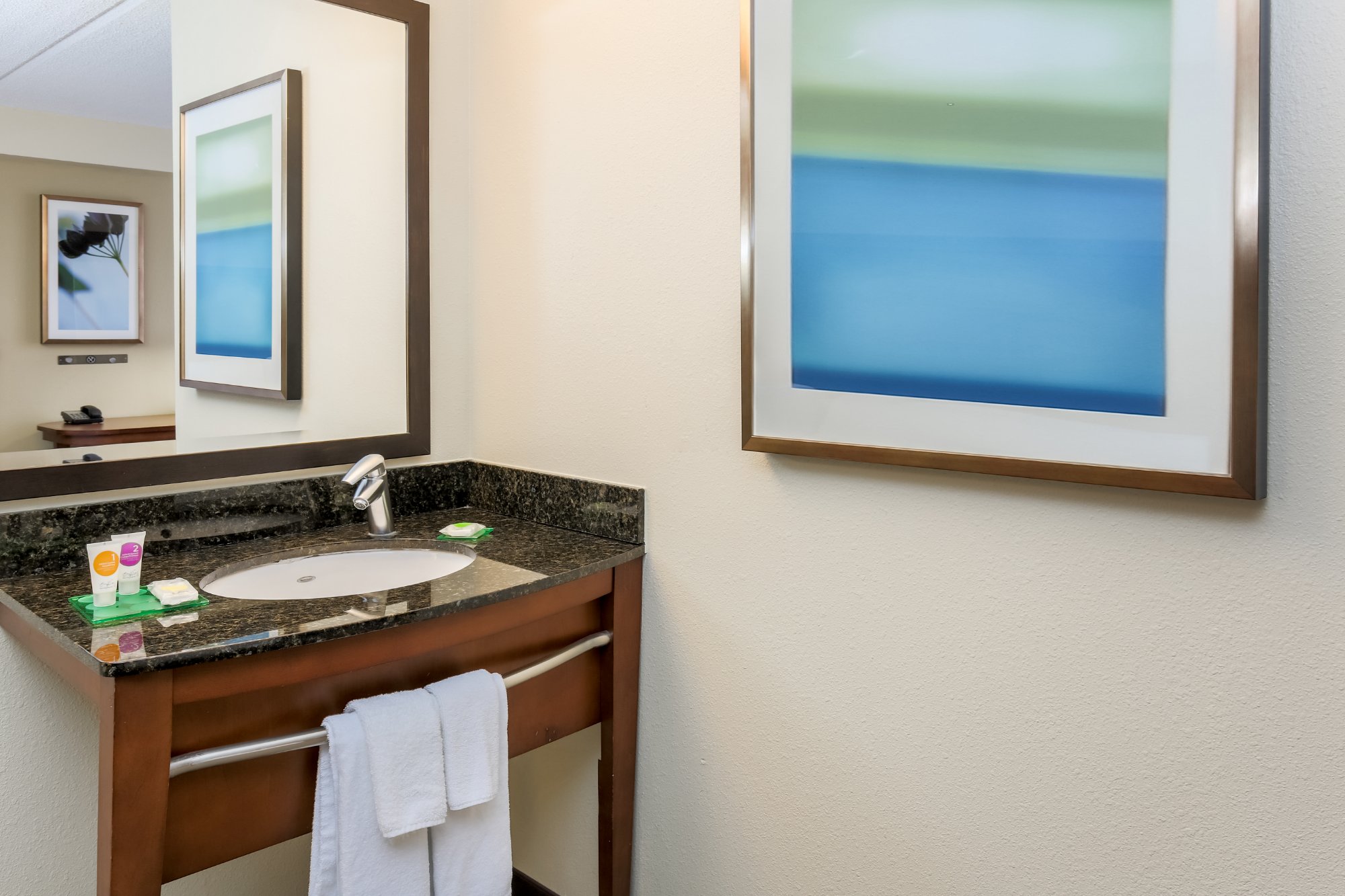 Hotel photo 28 of Hyatt Place Dallas/Grapevine.