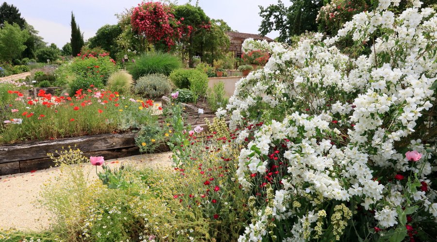 Jardins de Coursiana
