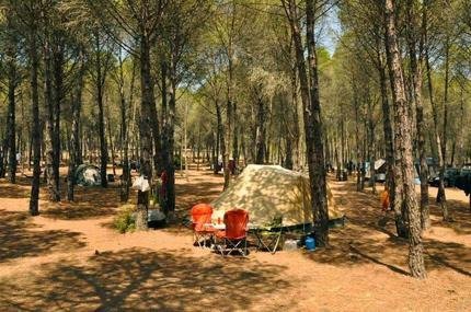 Imagen 21 de Camping l'Escala