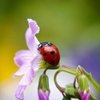 Elena_17_11_92