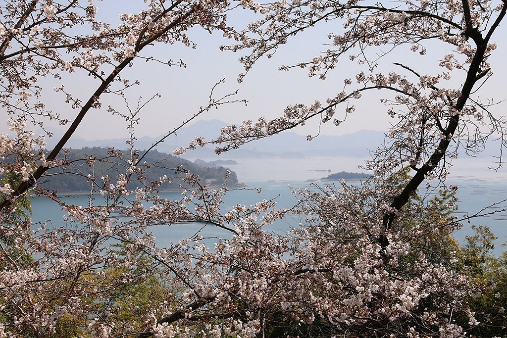 21年 正福寺山公園 行く前に 見どころをチェック トリップアドバイザー