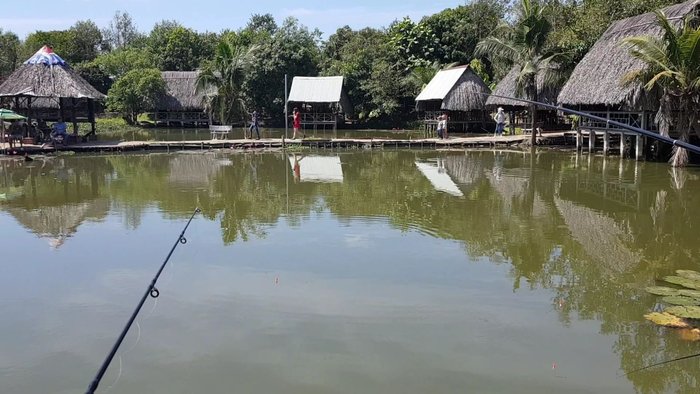 Chỗ nghỉ - một phần quan trọng của hành trình du lịch. Với nhiều lựa chọn chỗ ở đa dạng về giá cả và tiện nghi, bạn sẽ tìm thấy chỗ nghỉ hoàn hảo cho chuyến đi của mình. Các bức hình sẽ đưa bạn đến những khu nghỉ dưỡng đẹp, sang trọng và đầy ấn tượng.