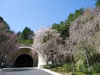 A museum integrated into its natural surroundings located at the end of a  tunnel in Koka City, Shiga Prefecture - Japan Travel Planner - ANA