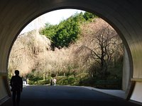 MIHO MUSEUM - Must-See, Access, Hours & Price