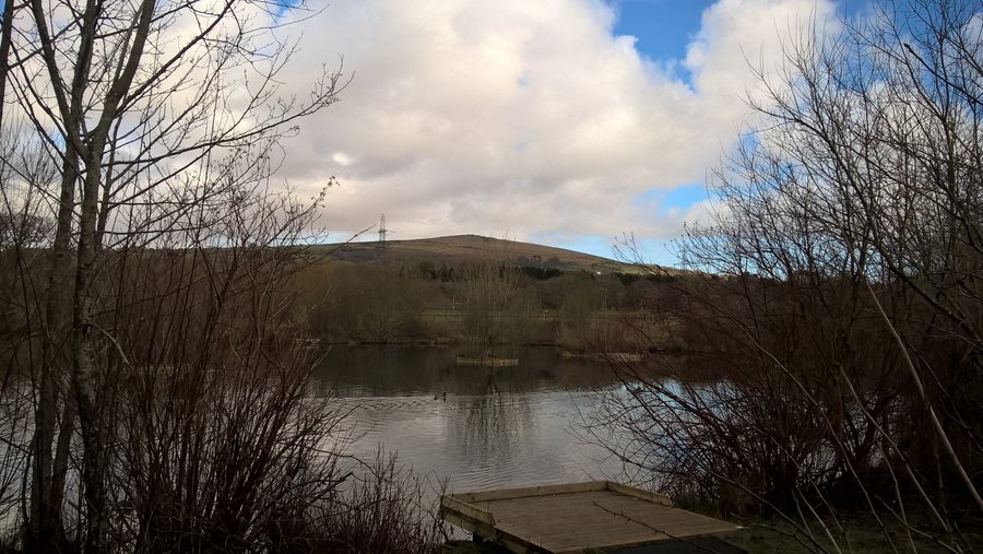 View of Ivybridge Beacon from Filham Park fishing lake