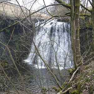 COTTER FORCE (Hawes) - All You Need to Know BEFORE You Go