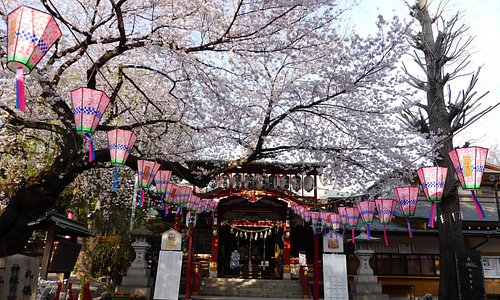 桜咲く季節の居木神社