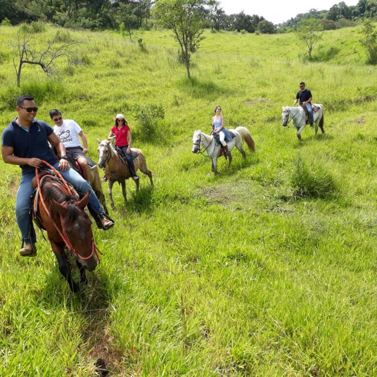 CONHEÇA ROTAS PARA ANDAR A CAVALO NO PANTANAL E OUTRAS REGIÕES - Lugares ECO