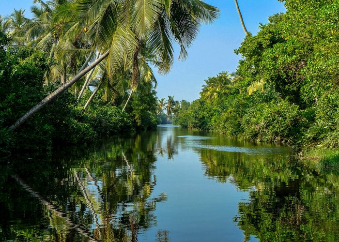 Muthurajawela Marsh (Negombo) - All You Need to Know BEFORE You Go