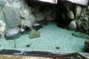 客室 & スイート