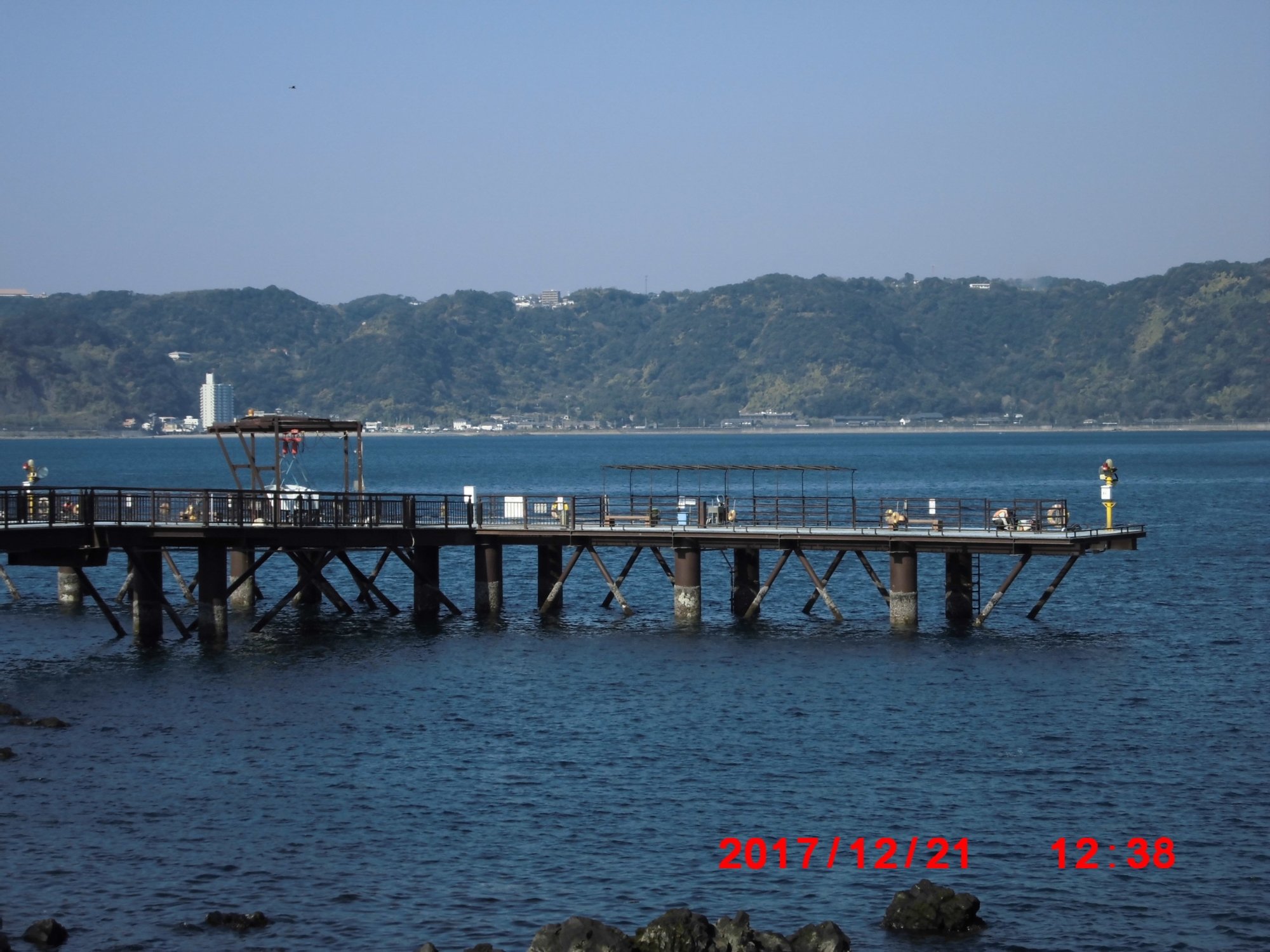 2025年 桜島海づり公園 - 出発前に知っておくべきことすべて